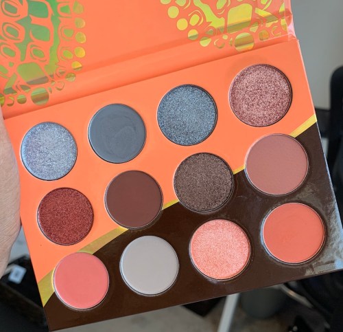 Juvia's Place The Nubian 3 Coral Palette swatches on medium dark skin
