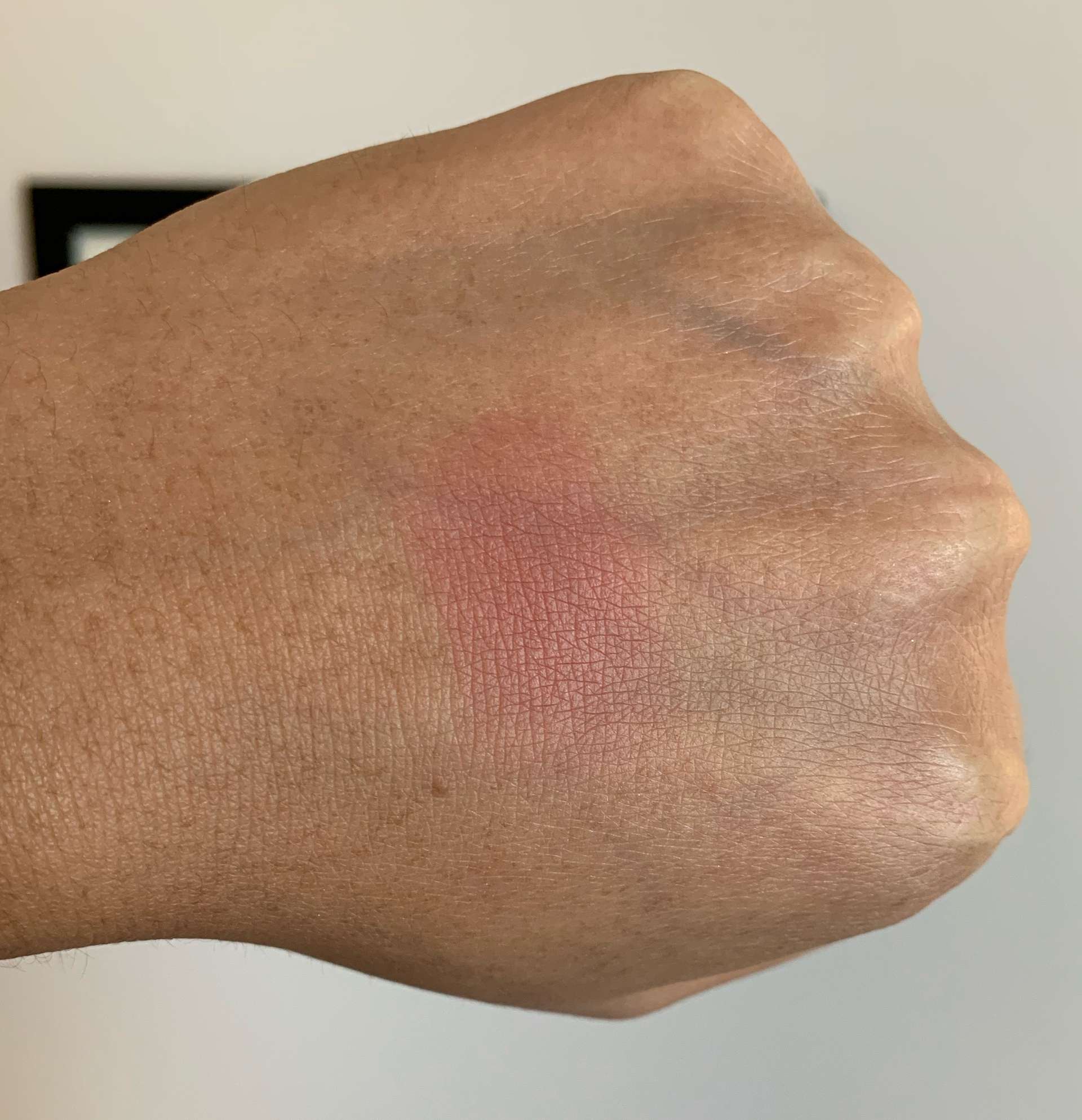 Wet N Wild Color Icon Blush in Mellow Wine Swatch on Medium Dark Skin