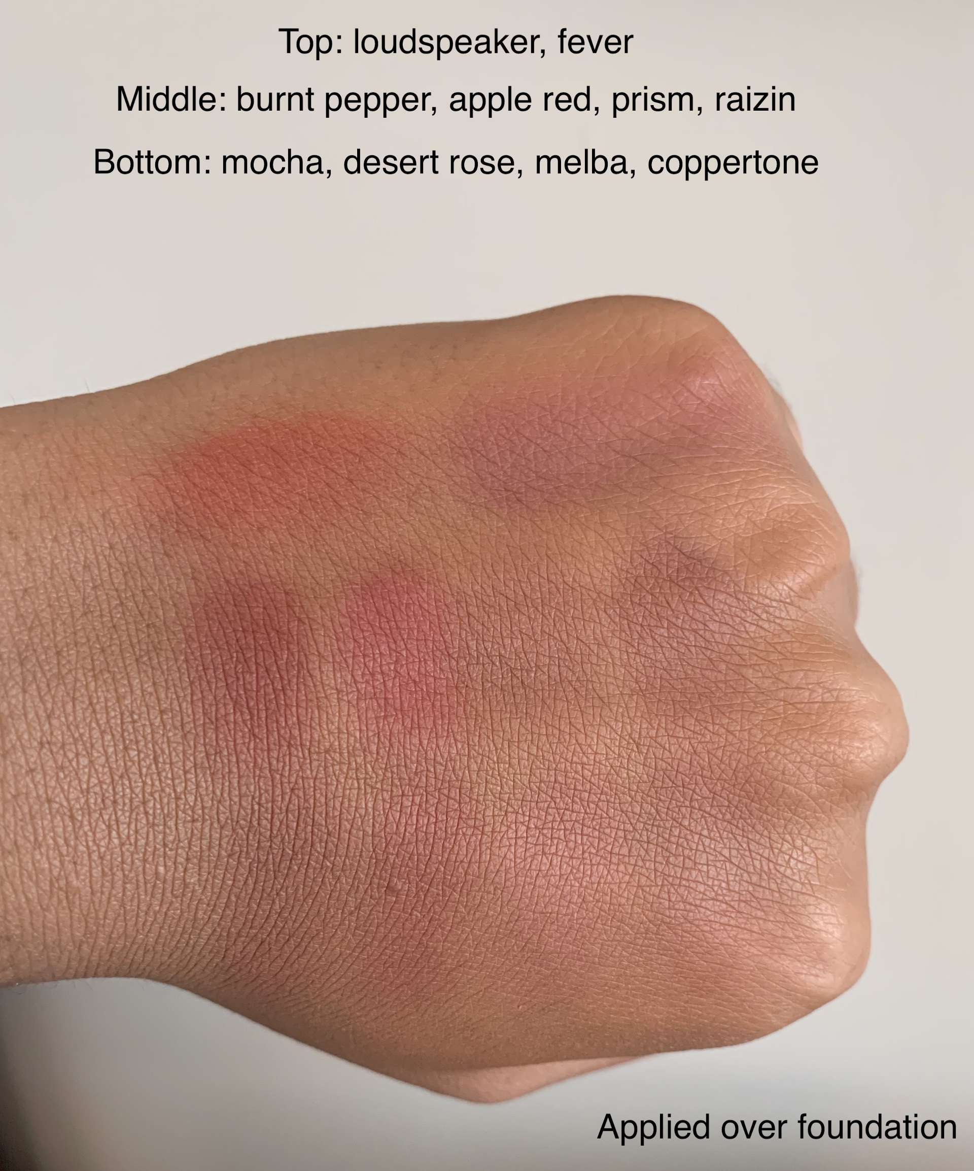 MAC Matte Blush (loudspeaker, fever, burnt pepper, apple red, prism, raizin, mocha, desert rose, melba, coppertone) swatches medium dark skin