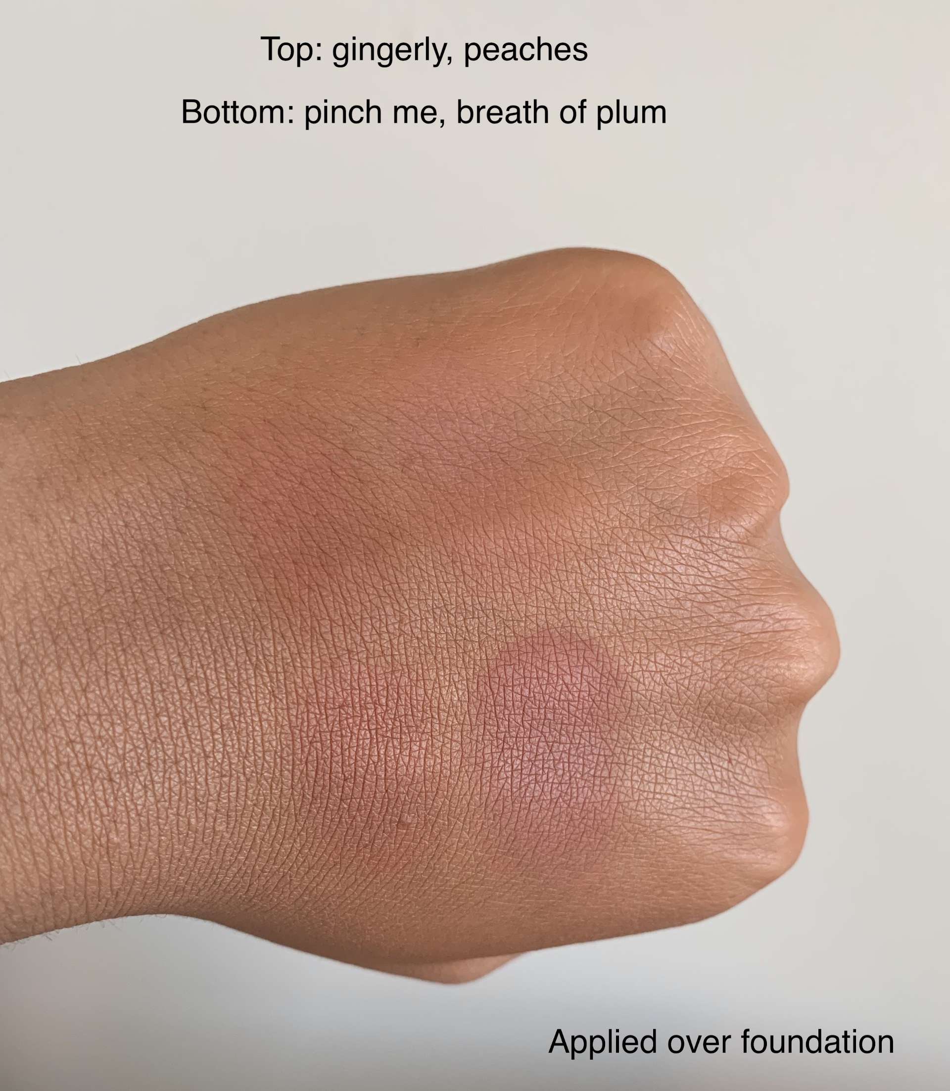 MAC Sheertone Blush (gingerly, peaches, pinch me, breath of plum) swatches on medium dark skin