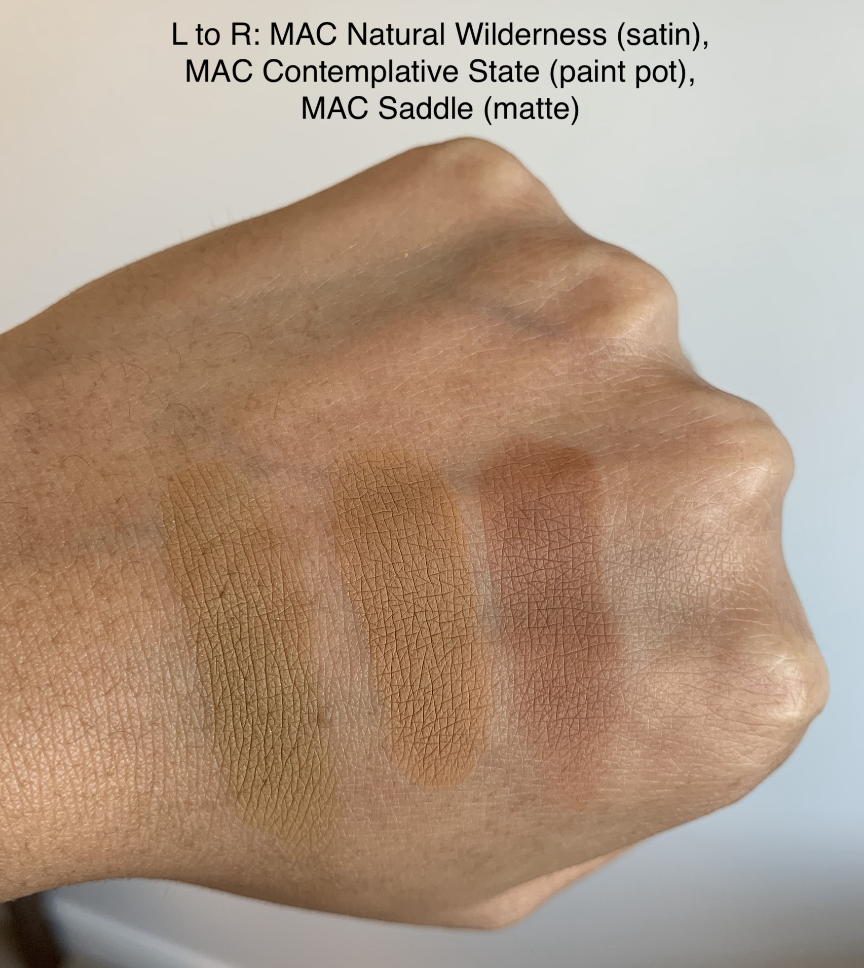MAC Natural Wilderness, Contemplative State Paint Pot, and MAC Saddle Swatches Medium Dark Skin