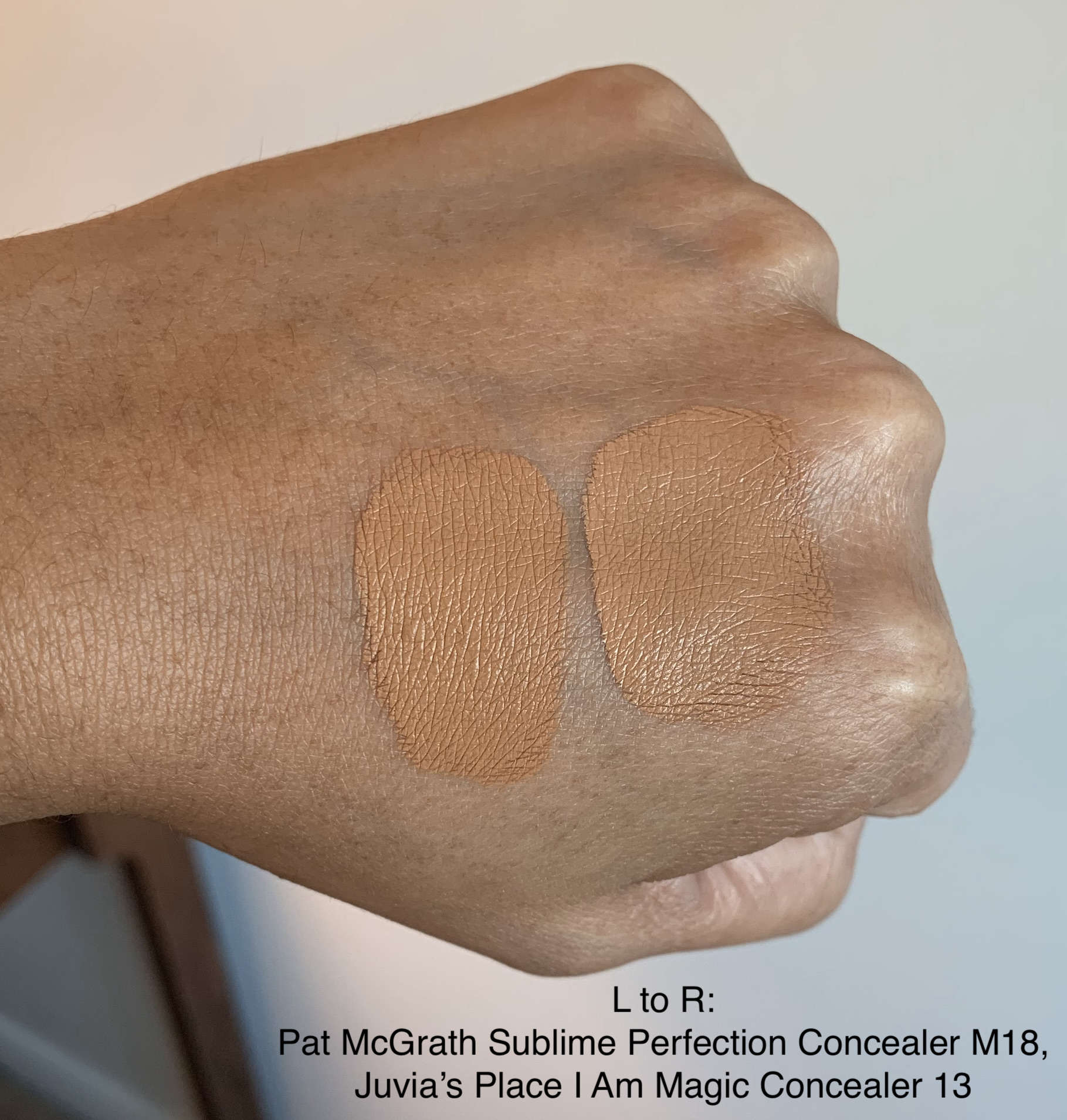 Pat McGrath Sublime Perfection Concealer M18 and Juvia's Place I Am Magic Concealer Swatches