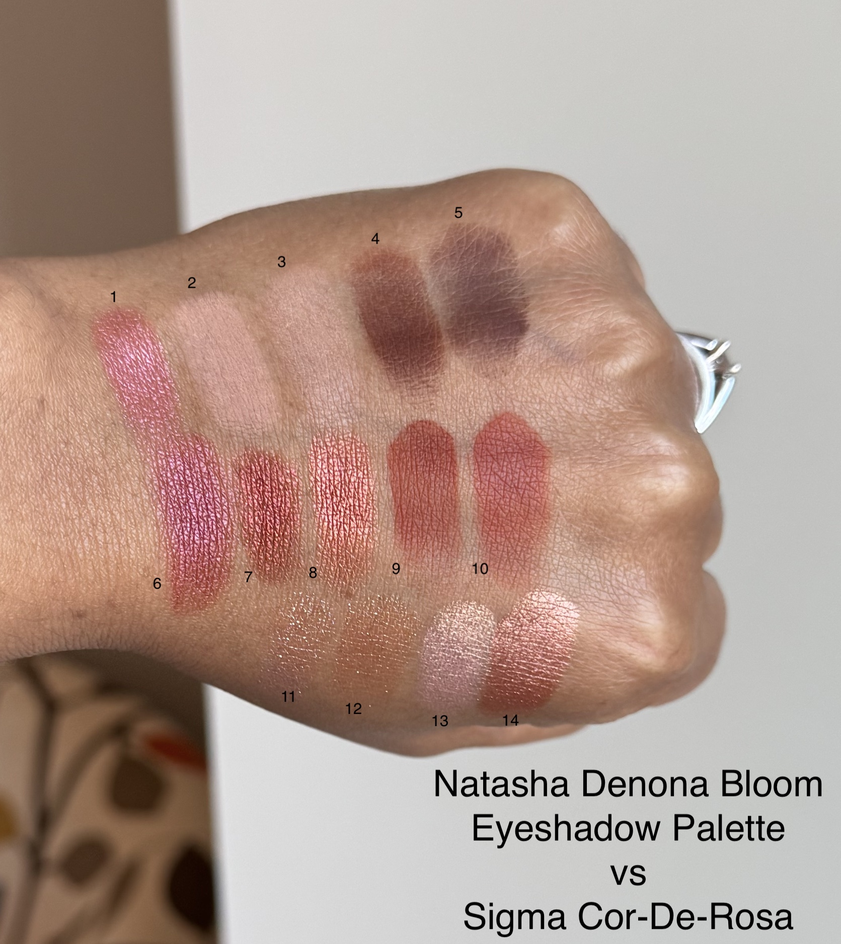 Natasha Denona Bloom Eyeshadow Palette vs Sigma Cor-De-Rosa Swatches