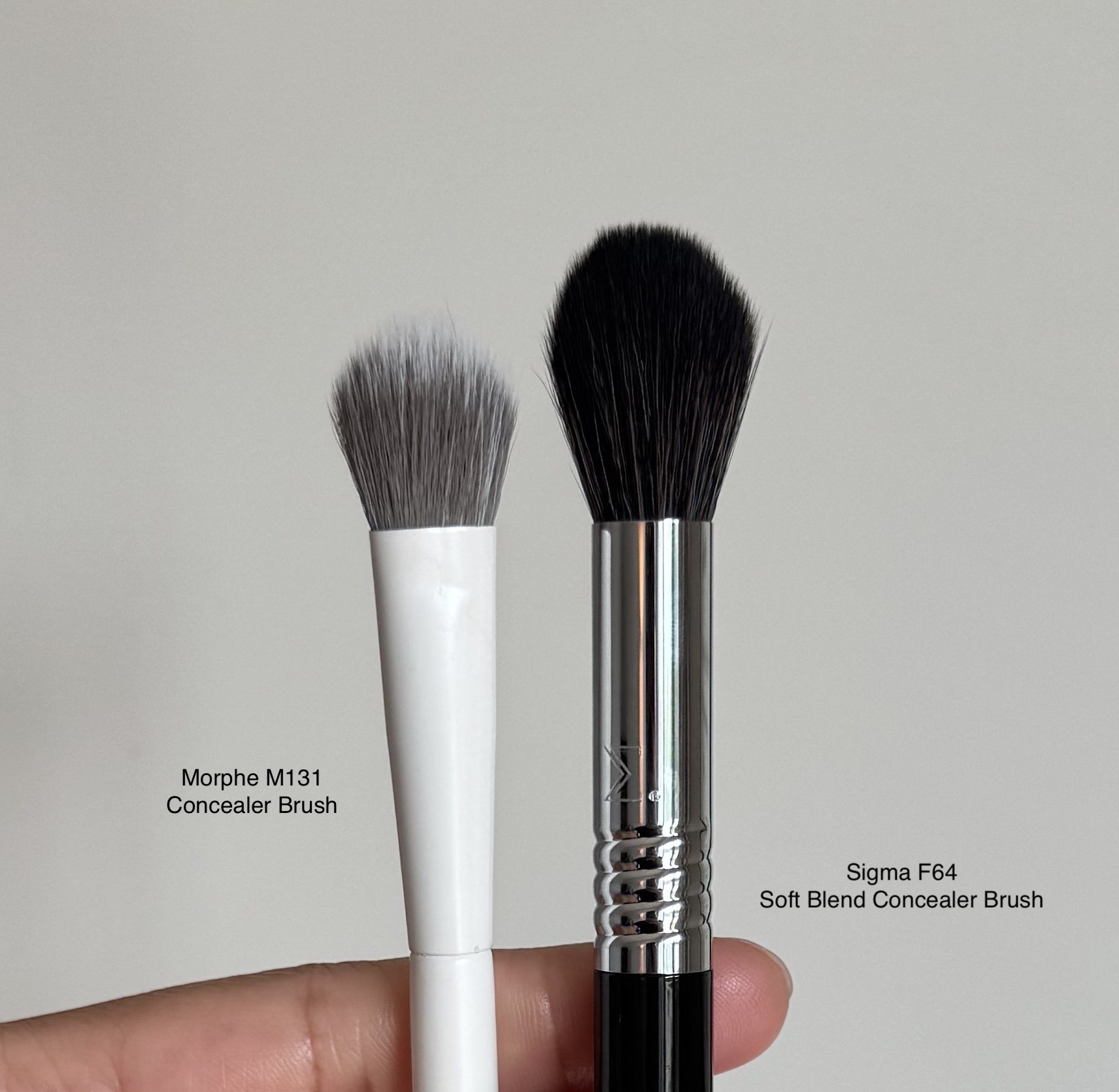 Morphe M131 Rounded Paddle Concealer Brush Review and Comparison to Sigma F64 Soft Blend Concealer Brush