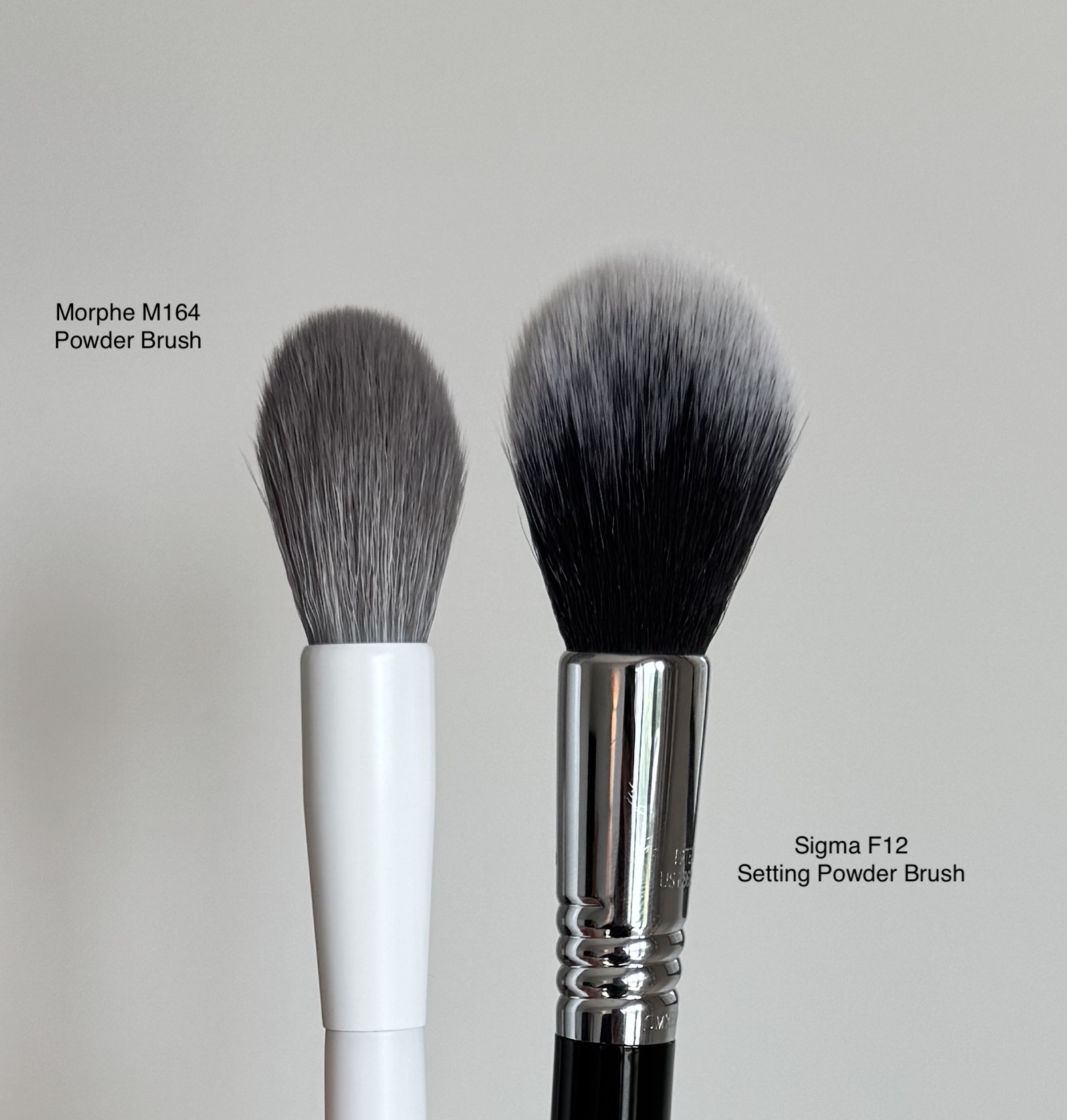Morphe M164 Small Pointed Powder Brush Review and Comparison to Sigma F12 Setting Powder Brush