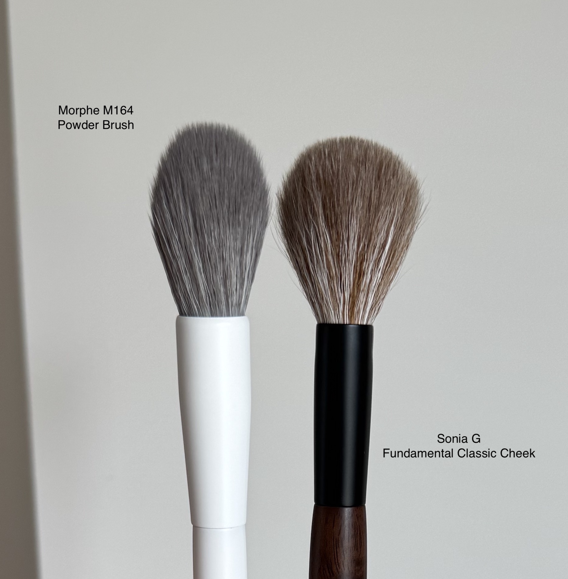 Morphe M164 Small Pointed Powder Brush Review and Comparison to Sonia G Fundamental Classic Cheek Brush