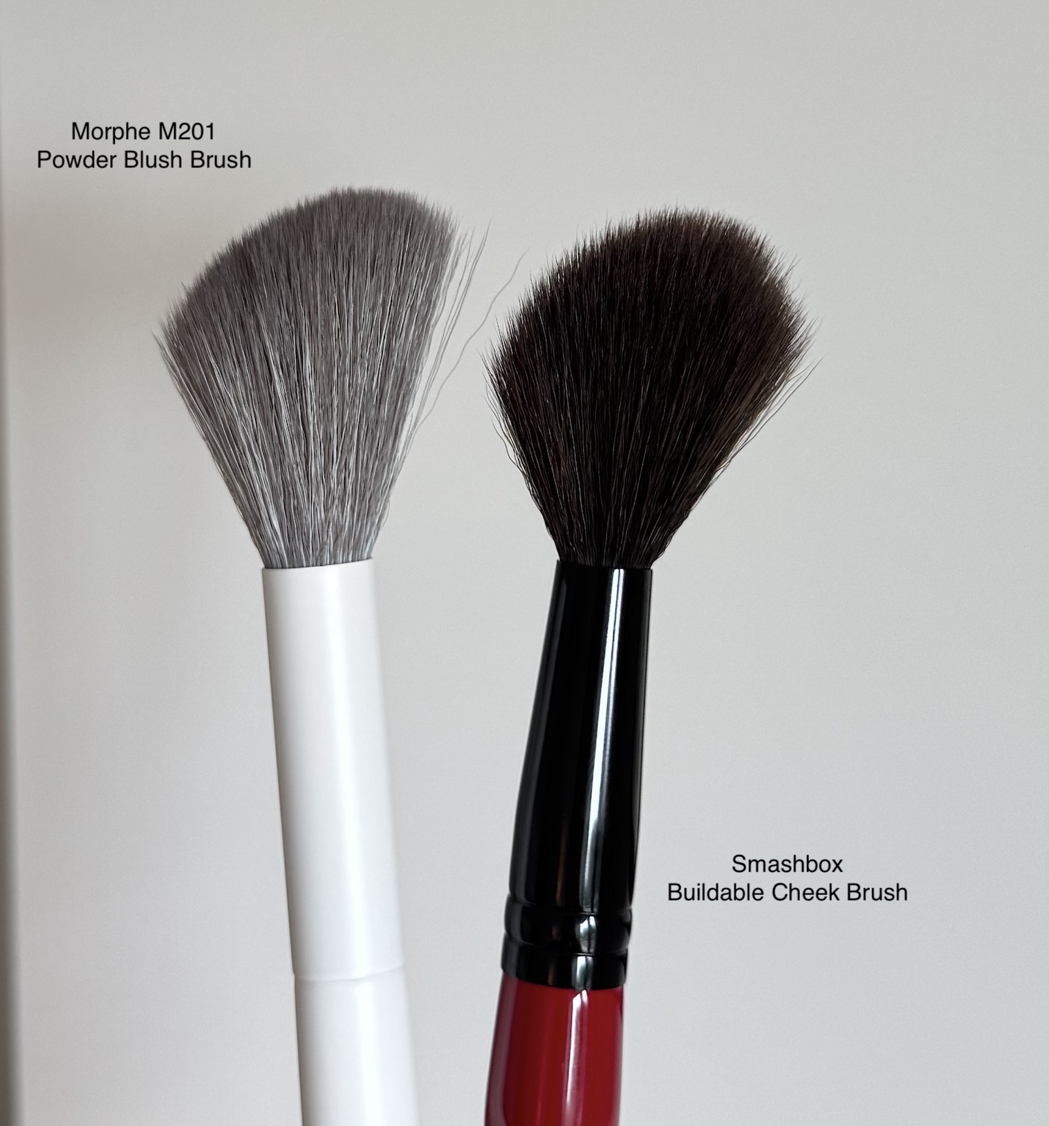 Morphe M201 Angled Powder Blush Brush Review and Comparison