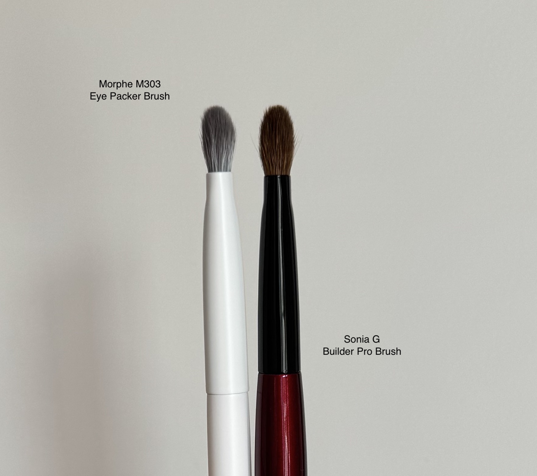 Morphe M303 Large Paddle Packer Eyeshadow Brush Review and Comparison to Sonia G Builder Pro Brush