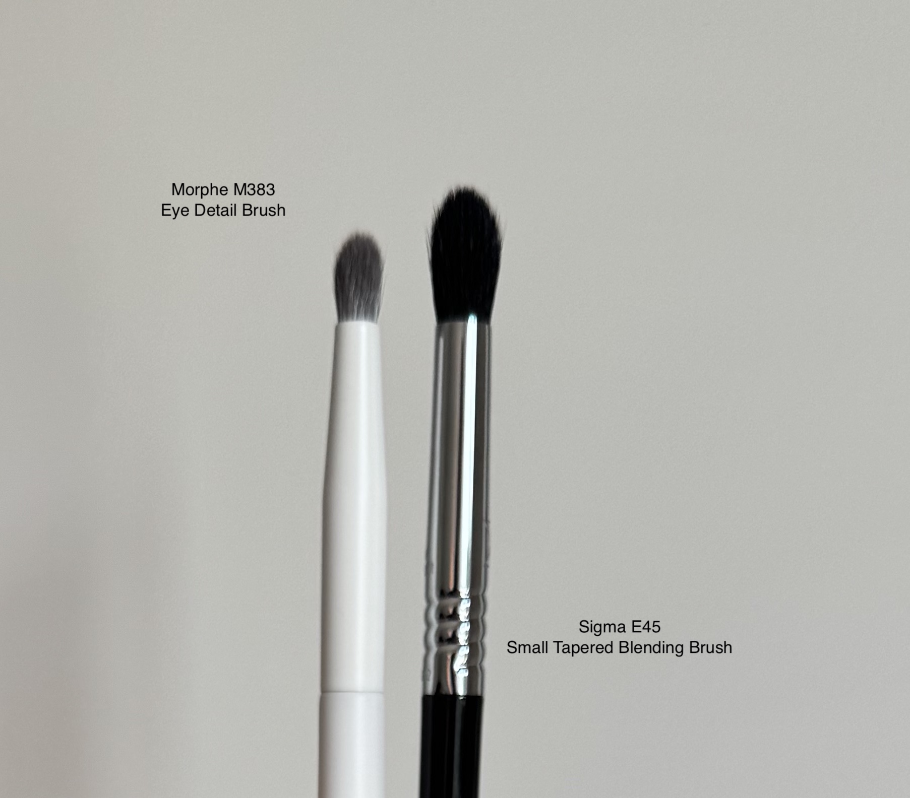 Morphe M383 Pointed Detail Eye Brush Review and Comparison to Sigma E45 Tapered Blending Brush