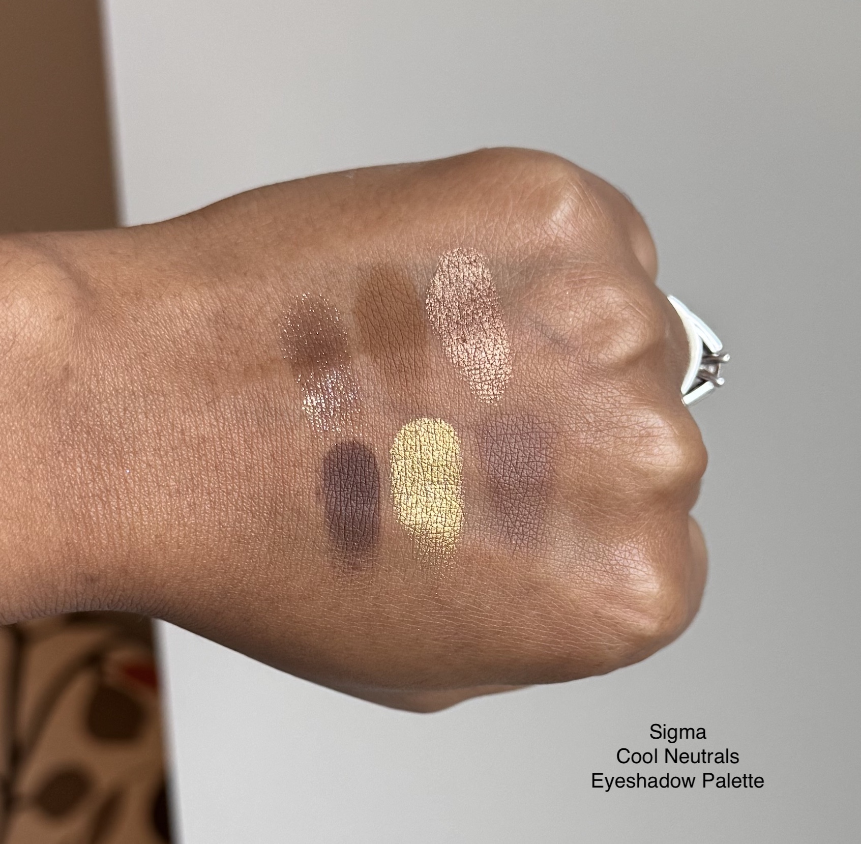 Sigma Cool Neutrals Eyeshadow Palette Swatches Medium Dark Skin