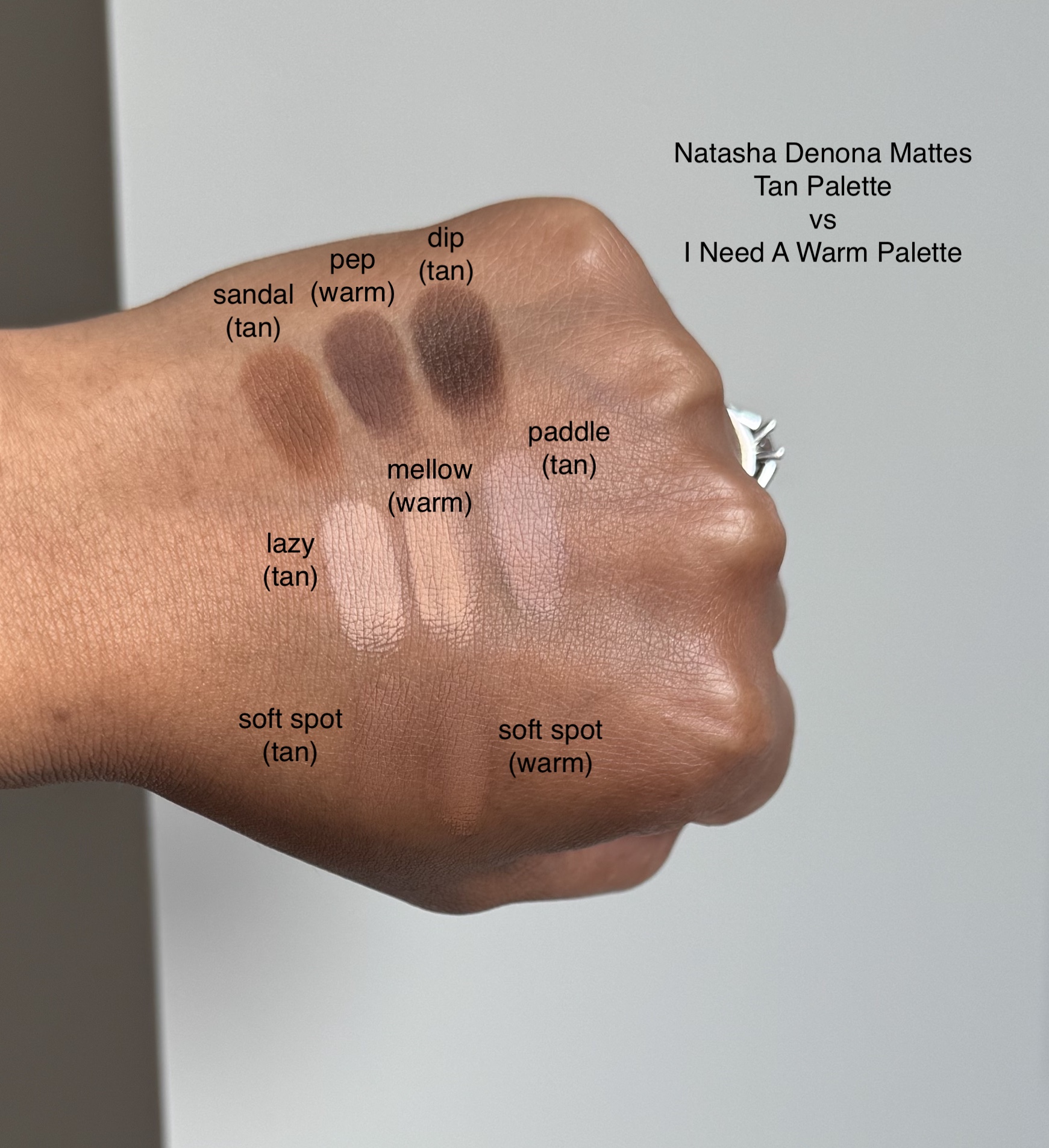 Natasha Denona Tan and I Need A Nude Eyeshadow Palette Swatches Compared